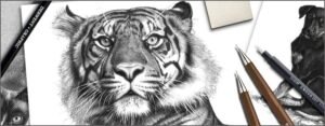 Unleashing Your Artistic Potential: Tips to Improve Your Drawing Skills